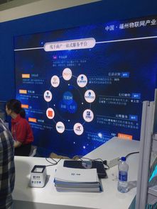 聚合支付技術亮相首屆數(shù)字中國建設峰會，四九八網(wǎng)絡科技引領網(wǎng)絡服務創(chuàng)新